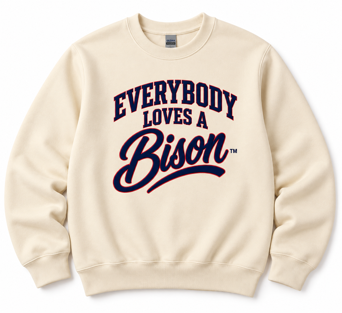 Everybody Loves A Bison Sweatshirt | Howard University | HU Bison | HBCU