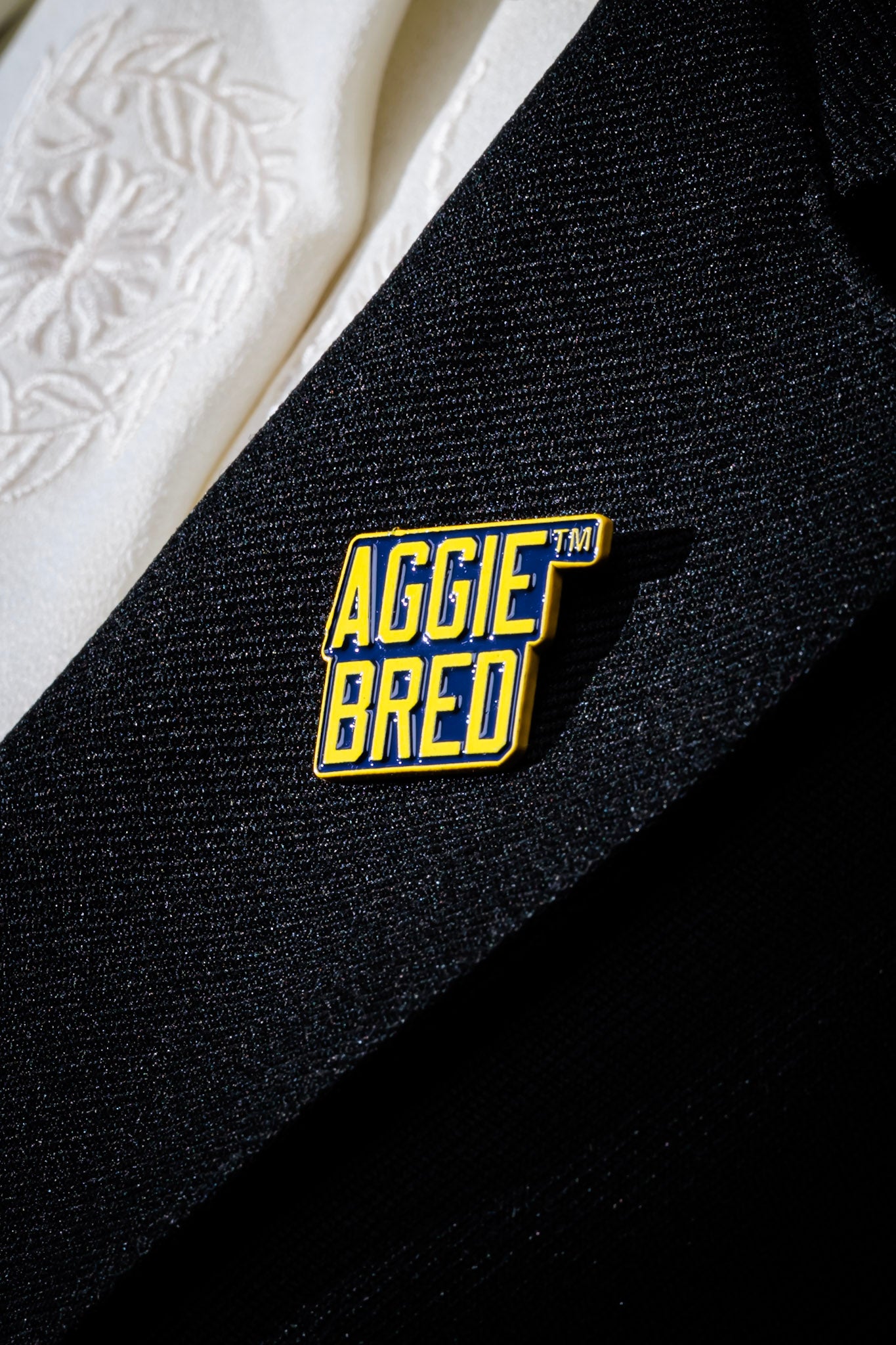 Aggie Career Lapel Pins