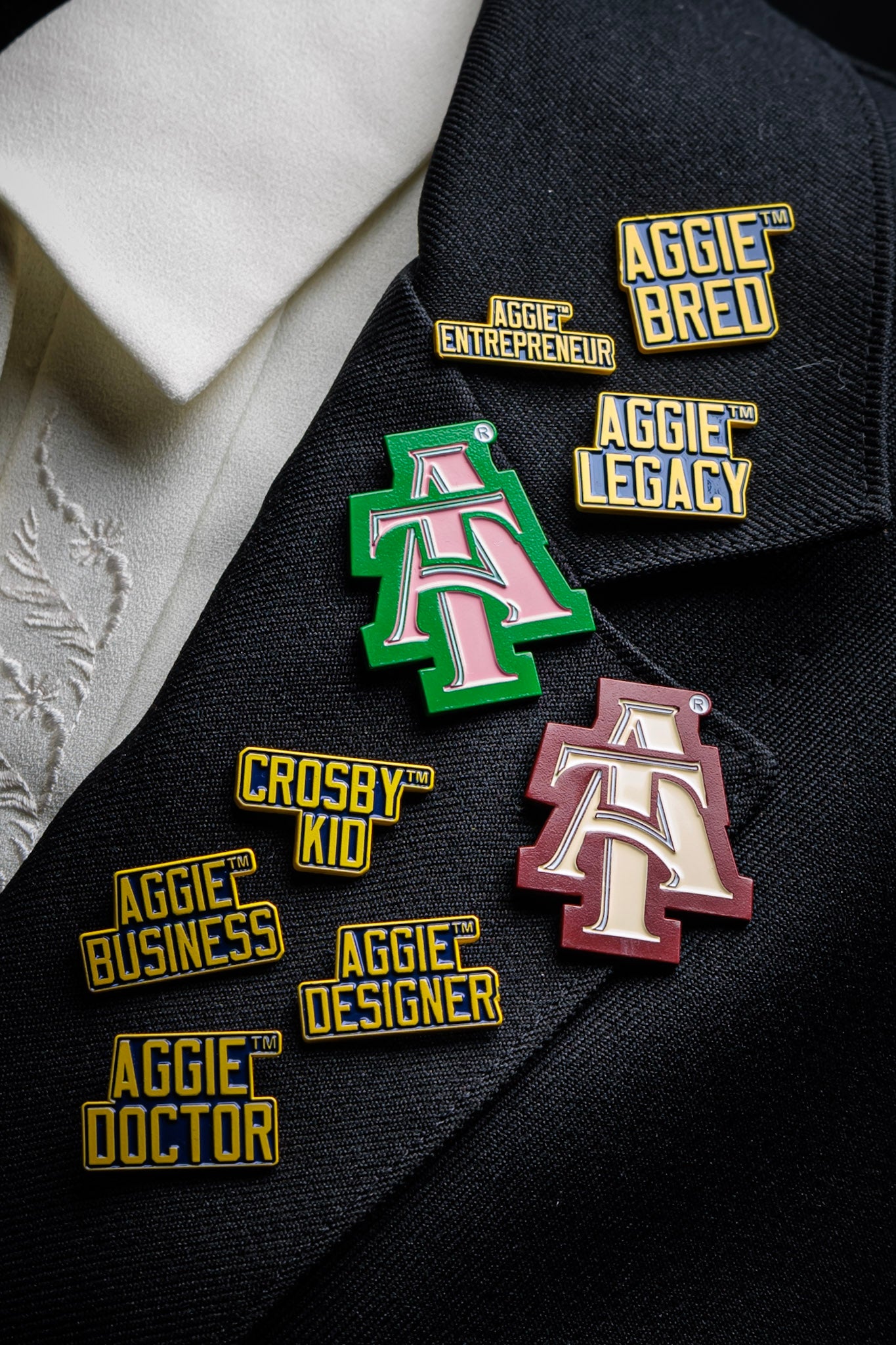 Aggie Career Lapel Pins