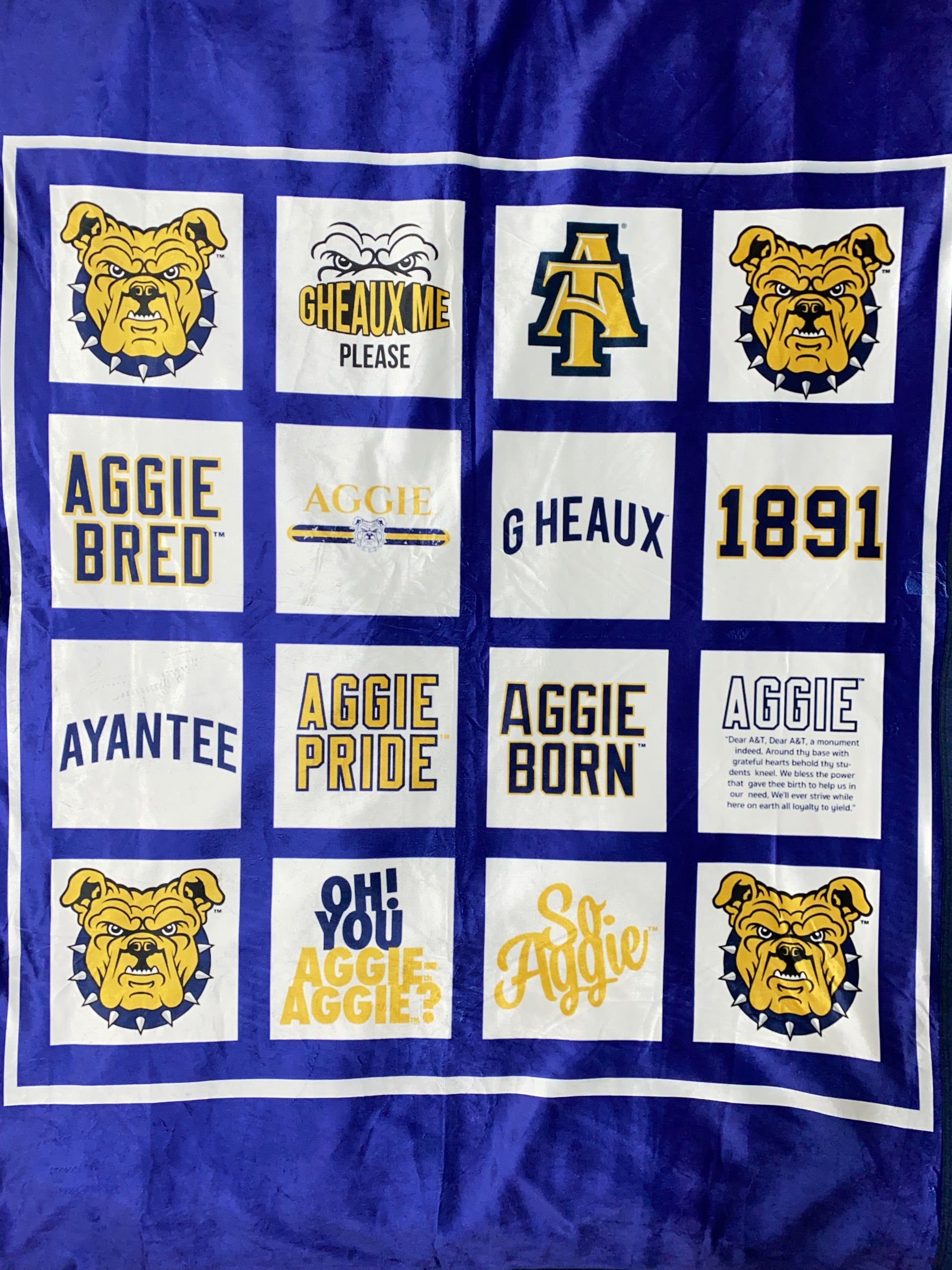 Hall Pass Logo Throw Blanket