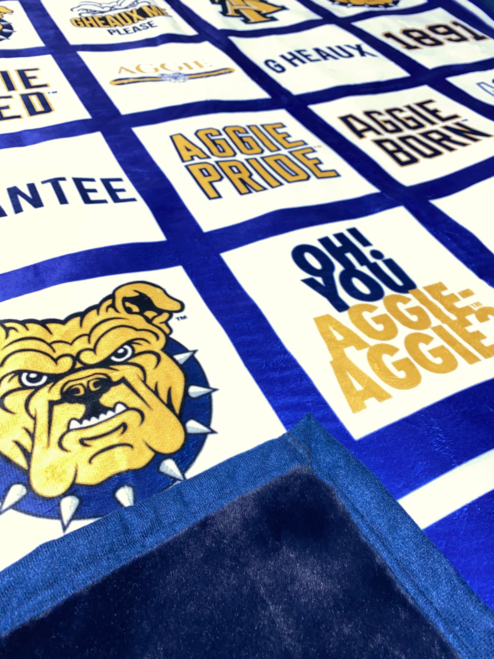 Hall Pass Logo Throw Blanket
